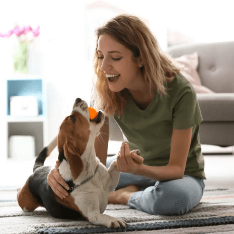 Extended House Visit (1 hour for up to 3 pets)