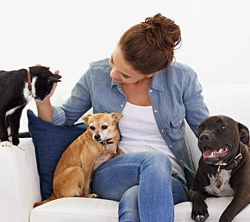 Our Signature 24 Hour Day & Night Pet Sit Package For Up To 3 Pets