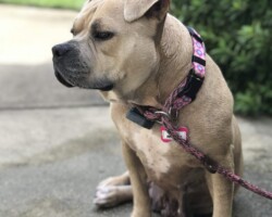 Minnie
