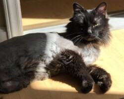 Sassafrass and her sun beam